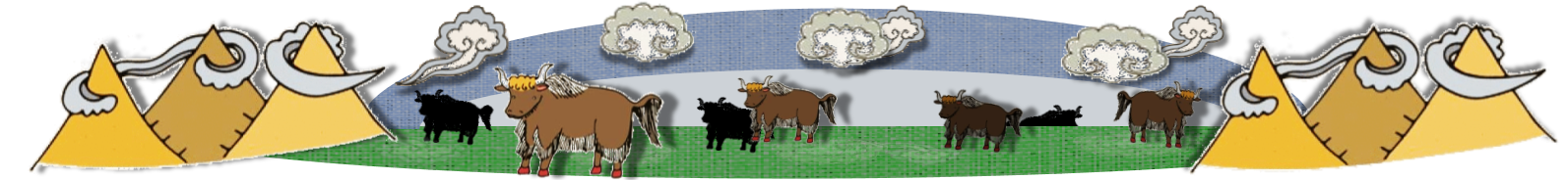 YAKS